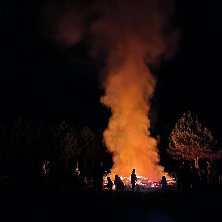 Ferienpark-Canow Εξωτερικό φωτογραφία